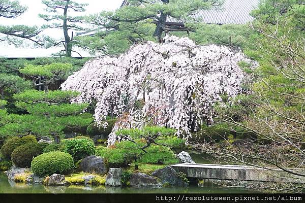 DAY2-平安神宮42