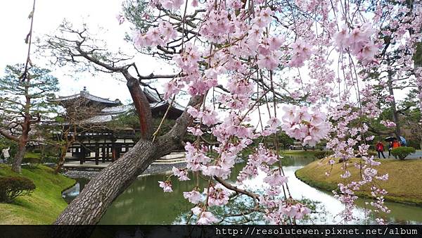 DAY3-宇治.平等院.中村藤吉44