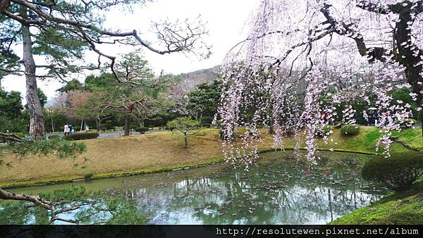 DAY3-宇治.平等院.中村藤吉51