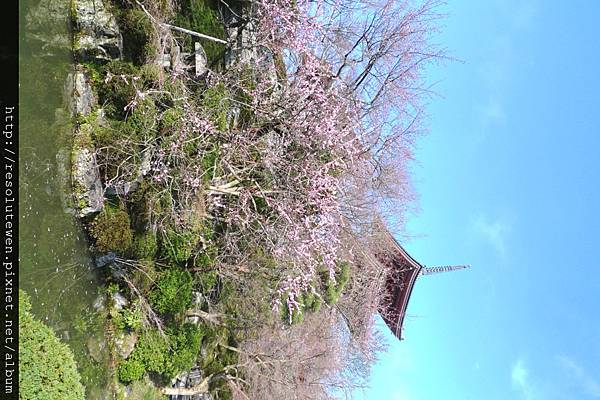 DAY3-清水寺081