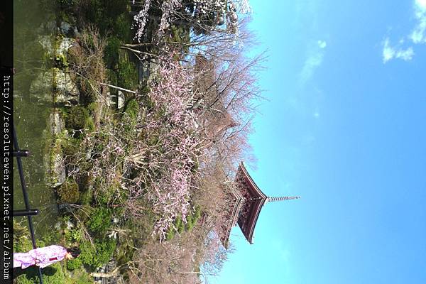 DAY3-清水寺086