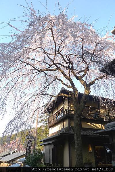 DAY3-清水寺107