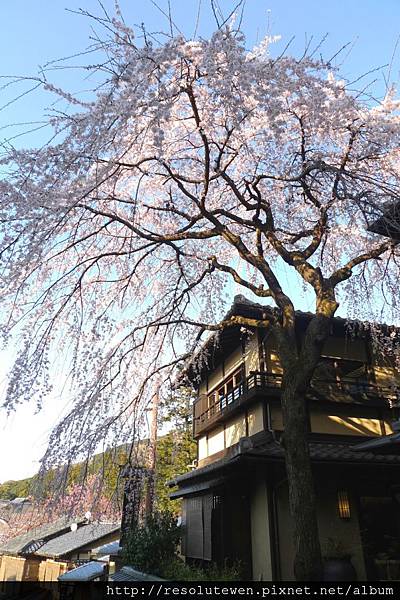 DAY3-清水寺108