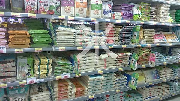 12828373_10201364847478705_9085756649626791231_o