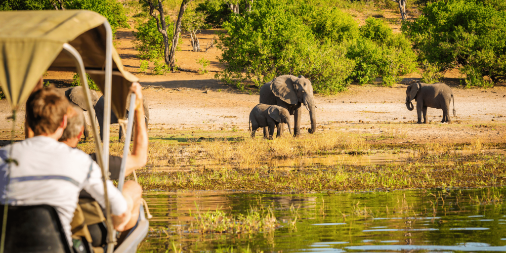 马丘比丘徒步旅行必备指南:你需要知道的一切