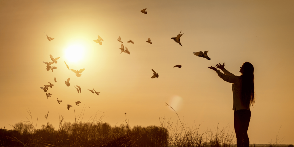 旅途中的善意:重拾我对旅行的信心的际遇 旅途中的善意:重拾我对旅行的信心的际遇