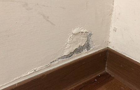 壁癌2.jpg 壁癌2.jpg