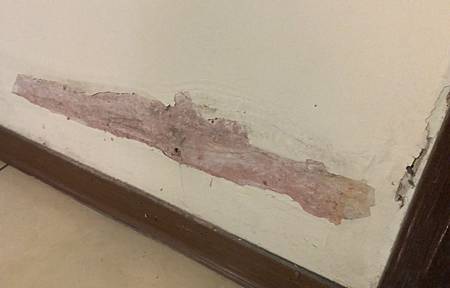 門口壁癌.jpg 門口壁癌.jpg