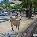 嚴島神社9601.jpg