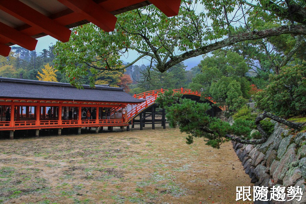 嚴島神社7801.jpg