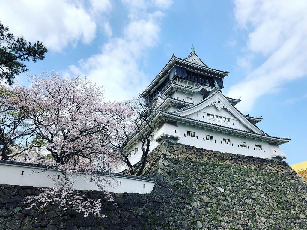 20190403_A41B8EF4-9337-4552-85DD-DF4174757513.jpg 20190403_A41B8EF4-9337-4552-85DD-DF4174757513.jpg