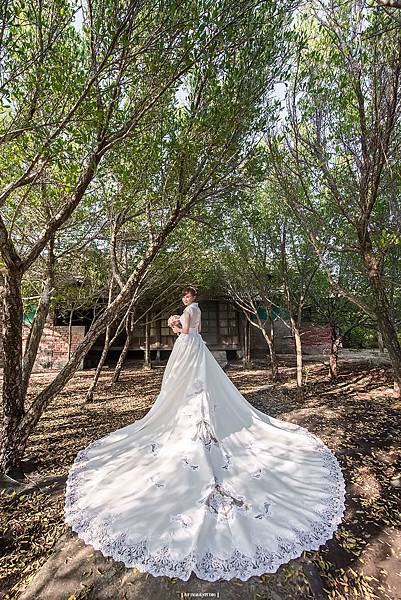 max001-66.jpg max001-66.jpg