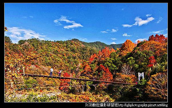 秀巒吊橋.jpg