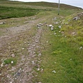 the great orme50.jpg