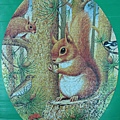 Red Squirrels -1