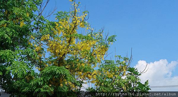 DSC_1039 DSC_1039