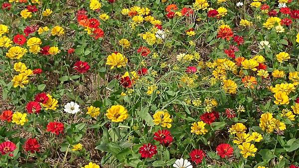 ok-0134 ok-0134