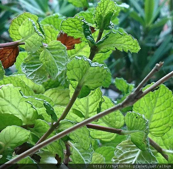DSC_0796 DSC_0796