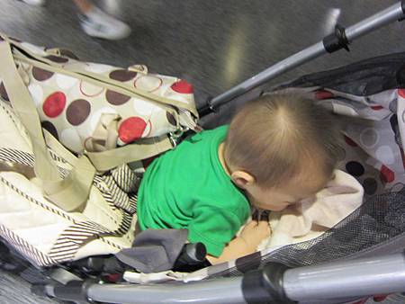 IMG_0215 IMG_0215