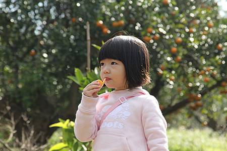 IMG_5714 IMG_5714