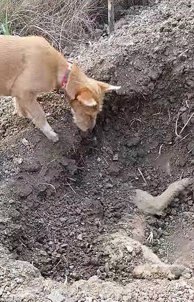 小額貸款,小額週轉,小額借錢,資金周轉,資金貸款,辦手機換現金,買車換現金,民間信貸,個人信貸,融資貸款,民間貸款, 銀行貸款,公司貸款,企業貸款,刷卡換現金,中小企業貸款,大額貸款,鉅額貸款,整合負債,資金貸款,資金借款,小額借款,公司周轉,金錢困難, 合法貸款,賣手機,續約換現金,攜碼換現金,手機換現金,手機送現金,門號送現金,續約送現金,攜碼送現金,機車送現金,軍公教貸款,婦女貸款, 如何借錢,如何貸款,借錢注意,合法借錢,安全借錢,借錢周轉,馬上領現金,當日拿現金,當日拿錢,馬上拿錢,缺錢,借錢,急用錢,急用金, 家庭補助金,上學補助金,勞工補助金,沒錢,功港借款.本利攤還,利率低,利息低,收購手機,收購3C產品,收購IPHONE,收購機車,機車一二胎, 汽車一二胎,收購中古車,收購中古機,房屋貸款,土地貸款,房地貸款,房屋一二胎,土地一二胎,土地一二胎,房屋借錢,土地借錢,房屋借款, 土地借款,房地借款,合法借錢,合法借款,資金需求,現金需求,現金週轉,企業資金,1111找工作,需要錢,現拿現金,現金免求人,104, 信用卡換現,刷卡換現,小額現金週轉,免卡貸款,賣手機,中小企業貸款,機車換錢,非詐騙,防詐騙,信用卡貸款,沒有錢,繳不起, 額度高,信用狀況,信用不好,法扣,協商,授權異常,強婷,急借錢,當日撥款,當日拿款,老客戶續約,勞保貸款,薪轉貸款,薪資轉帳, 勞保,收購平板,收購電腦,收購相機 小額貸款,小額週轉,小額借錢,資金周轉,資金貸款,辦手機換現金,買車換現金,民間信貸,個人信貸,融資貸款,民間貸款, 銀行貸款,公司貸款,企業貸款,刷卡換現金,中小企業貸款,大額貸款,鉅額貸款,整合負債,資金貸款,資金借款,小額借款,公司周轉,金錢困難, 合法貸款,賣手機,續約換現金,攜碼換現金,手機換現金,手機送現金,門號送現金,續約送現金,攜碼送現金,機車送現金,軍公教貸款,婦女貸款, 如何借錢,如何貸款,借錢注意,合法借錢,安全借錢,借錢周轉,馬上領現金,當日拿現金,當日拿錢,馬上拿錢,缺錢,借錢,急用錢,急用金, 家庭補助金,上學補助金,勞工補助金,沒錢,功港借款.本利攤還,利率低,利息低,收購手機,收購3C產品,收購IPHONE,收購機車,機車一二胎, 汽車一二胎,收購中古車,收購中古機,房屋貸款,土地貸款,房地貸款,房屋一二胎,土地一二胎,土地一二胎,房屋借錢,土地借錢,房屋借款, 土地借款,房地借款,合法借錢,合法借款,資金需求,現金需求,現金週轉,企業資金,1111找工作,需要錢,現拿現金,現金免求人,104, 信用卡換現,刷卡換現,小額現金週轉,免卡貸款,賣手機,中小企業貸款,機車換錢,非詐騙,防詐騙,信用卡貸款,沒有錢,繳不起, 額度高,信用狀況,信用不好,法扣,協商,授權異常,強婷,急借錢,當日撥款,當日拿款,老客戶續約,勞保貸款,薪轉貸款,薪資轉帳, 勞保,收購平板,收購電腦,收購相機