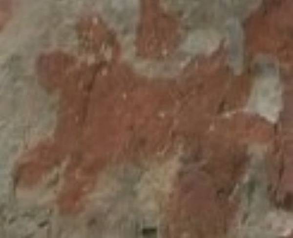 古代鬆獅犬壁畫.