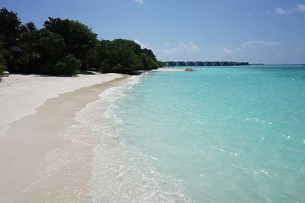 DSC02692.jpg DSC02692.jpg