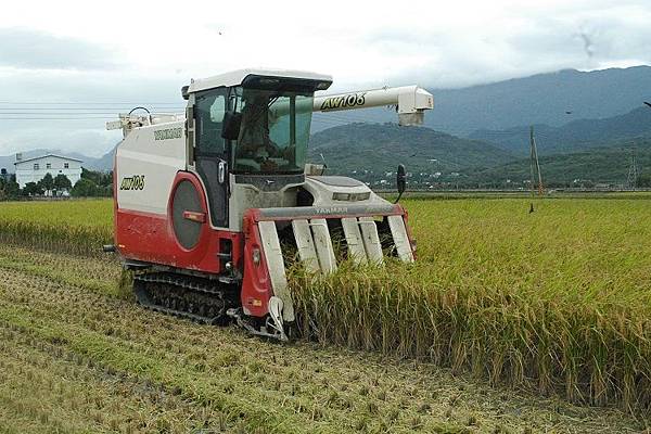 主DSC_5914 主DSC_5914