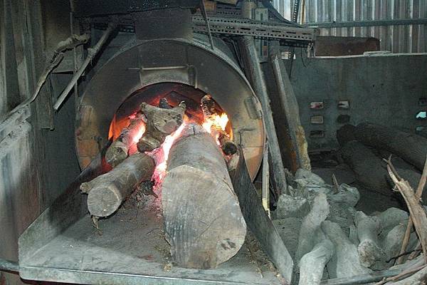 主DSC_5895 主DSC_5895