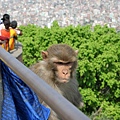 Kathmandu-Swayambhunath