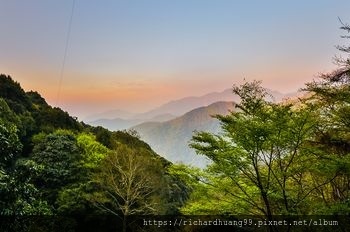 2024阿里山櫻花 玉山東埔泡湯