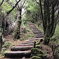 東埔山步道