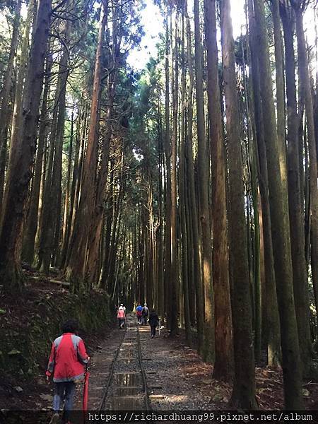 特富野古道