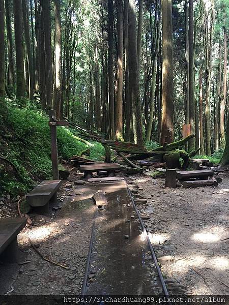 特富野古道