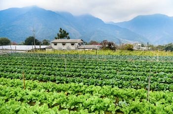 099c52247bf9aabc860f241a614e6e26.jpg 099c52247bf9aabc860f241a614e6e26.jpg