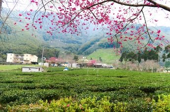 c8fd3bb2ccf32ffd856cf4f3c08bde4d.jpg c8fd3bb2ccf32ffd856cf4f3c08bde4d.jpg