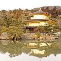 DSC05420.JPG