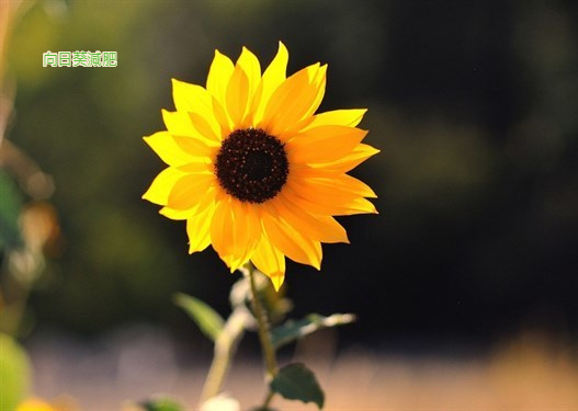 FotoJet (43).jpg FotoJet (43).jpg