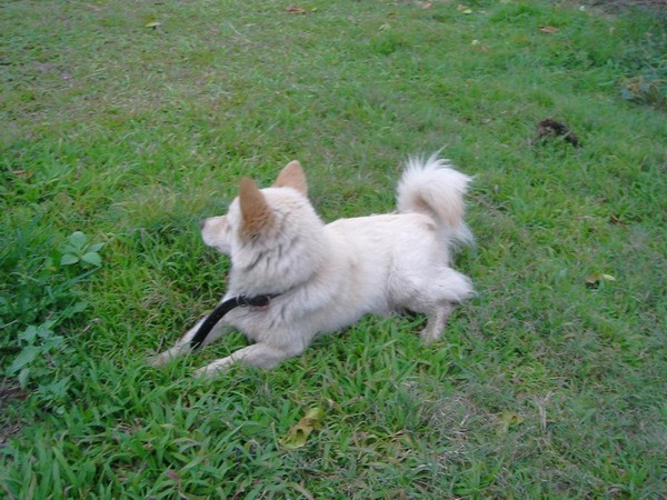 20070222 049.jpg
