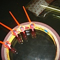 20070125 3082.jpg