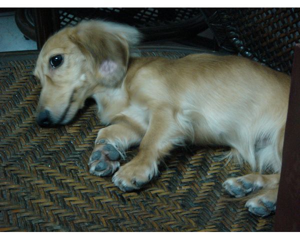 曾臘腸她累了...