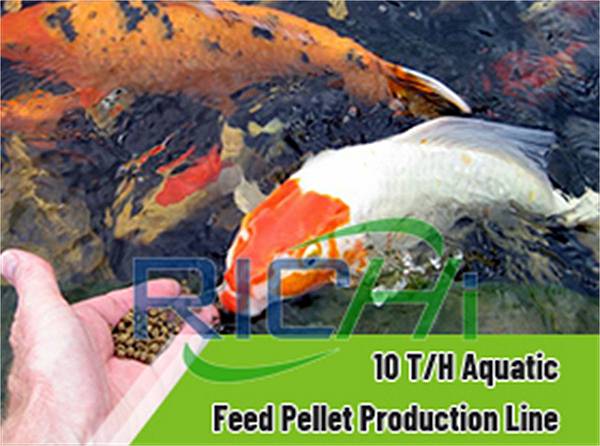 Small Animal Pet Cat fish Shrimp Food Making Extruder Floating Fish Feed Pellet Machine.jpg