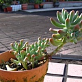 20130706_3.JPG