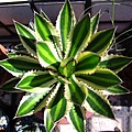 20130607_2.JPG