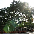 2009_0530_081036_blog.jpg