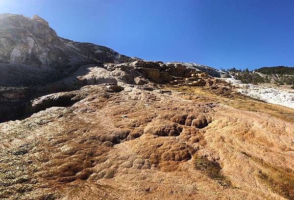 8FAE39F0-F5CF-40F8-838B-F97F5C82994B.jpeg 8FAE39F0-F5CF-40F8-838B-F97F5C82994B.jpeg