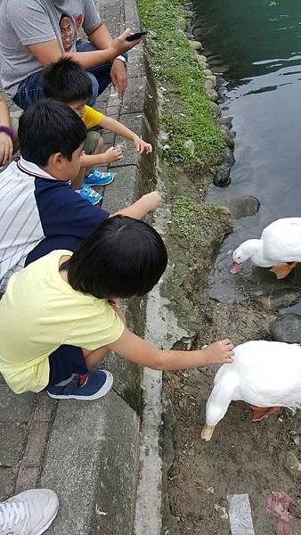 冬山、森林、鐵道橋_3845.jpg