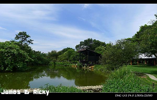 八德埤塘生態公園4