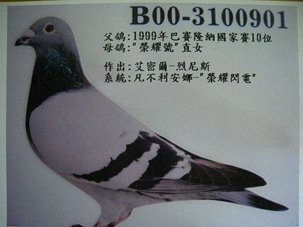 B00-30100901 B00-30100901