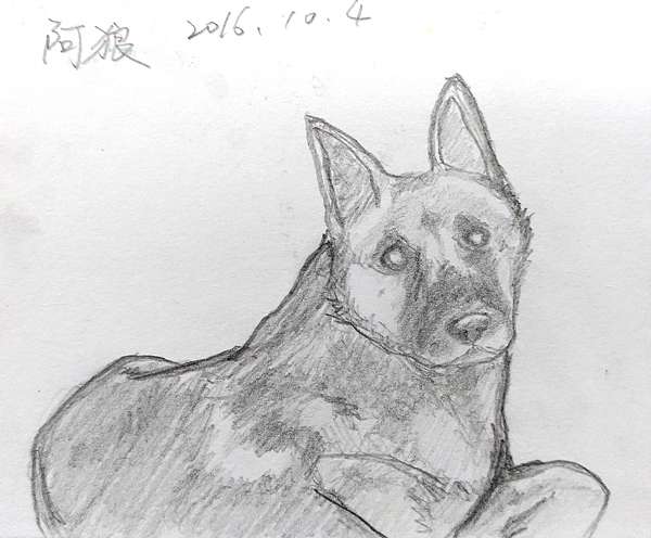 足跡08 再畫公園狼犬 完成於16 10 04 瑞奇老爹的塗鴉童話 痞客邦